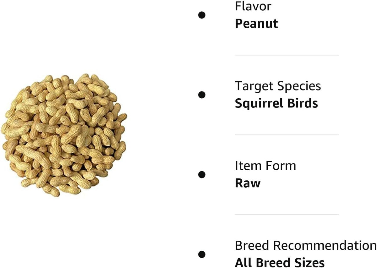 Raw Peanuts in Shell 5LB P40455