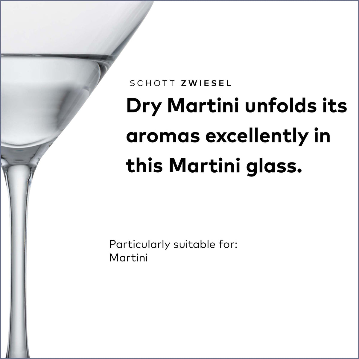 Martini Glass Set of 6 Dishwasher-Safe Tritan Crystal 8.5 Ounce A93529