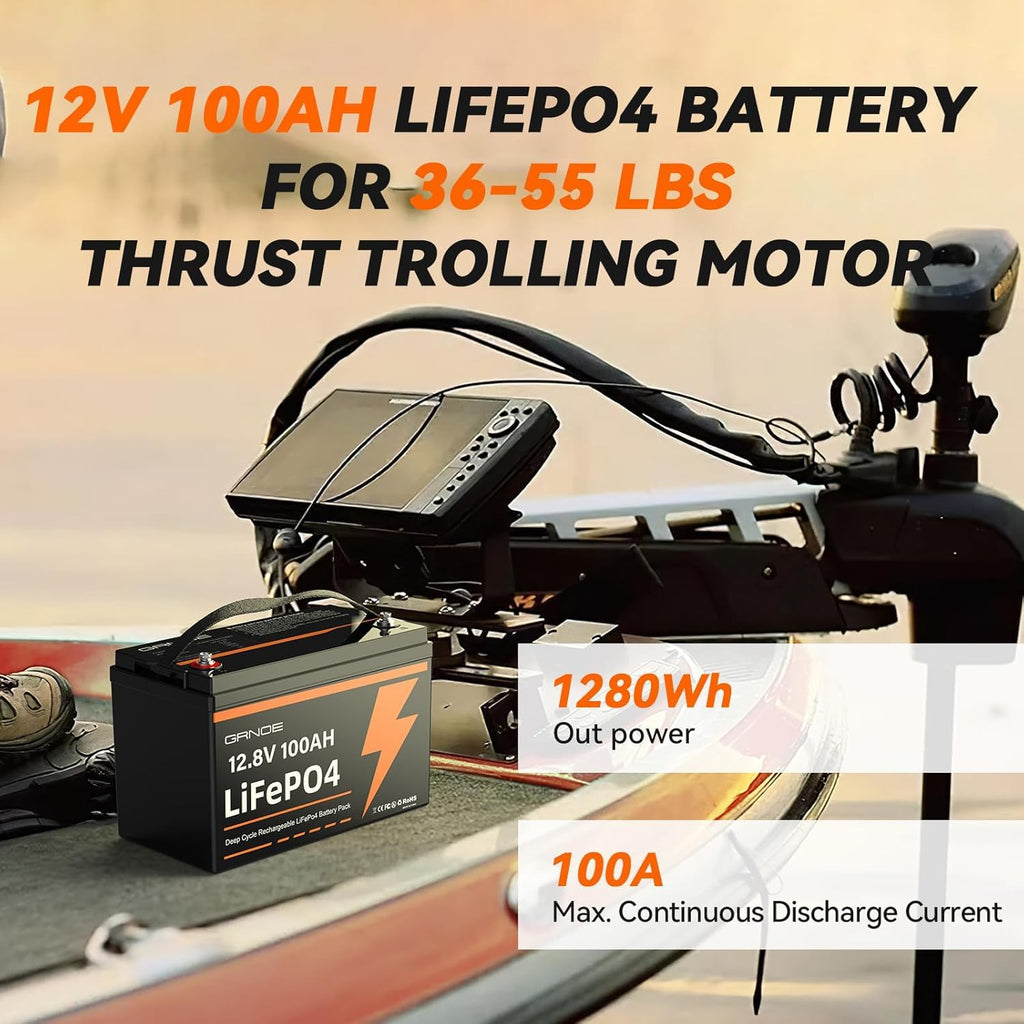 12V 100Ah LiFePO4 Lithium Battery 2-Pack R1006