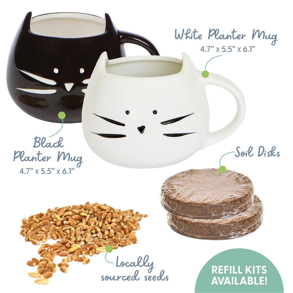 Cat Grass Growing Kit with Seed Mix, Soil and Two Planters Z37424