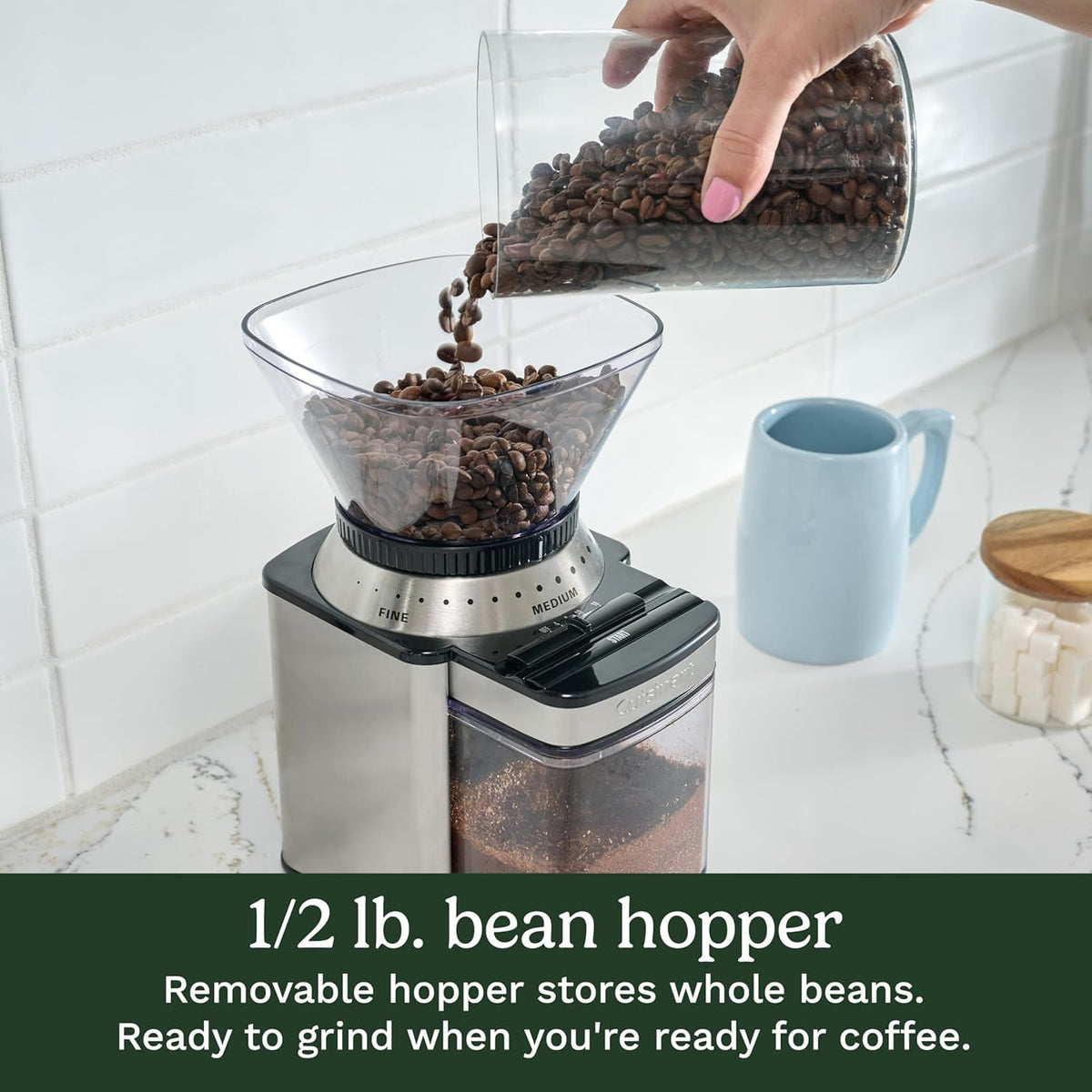 Electric Burr Coffee Grinder with 18-Position Grind Selector W2423