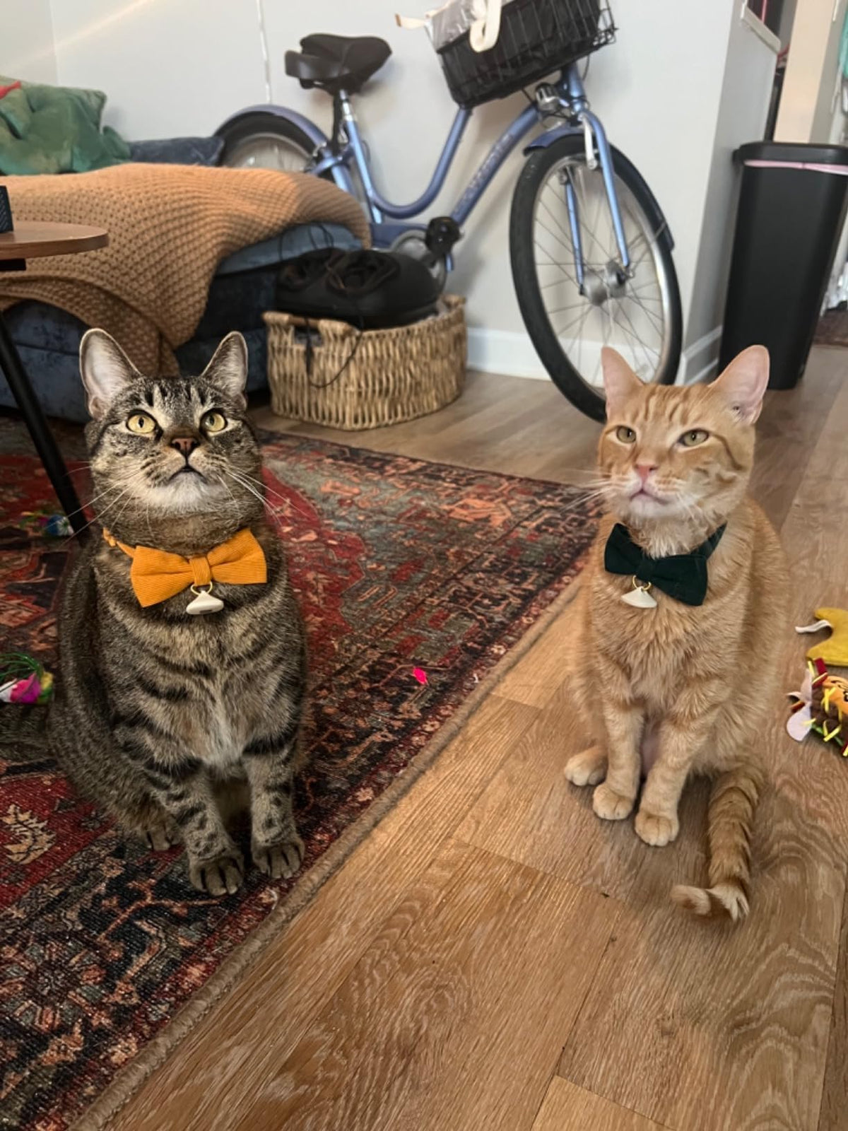 2 Pack Soft Corduroy Cat Collars with Bow Tie & Bell F79922