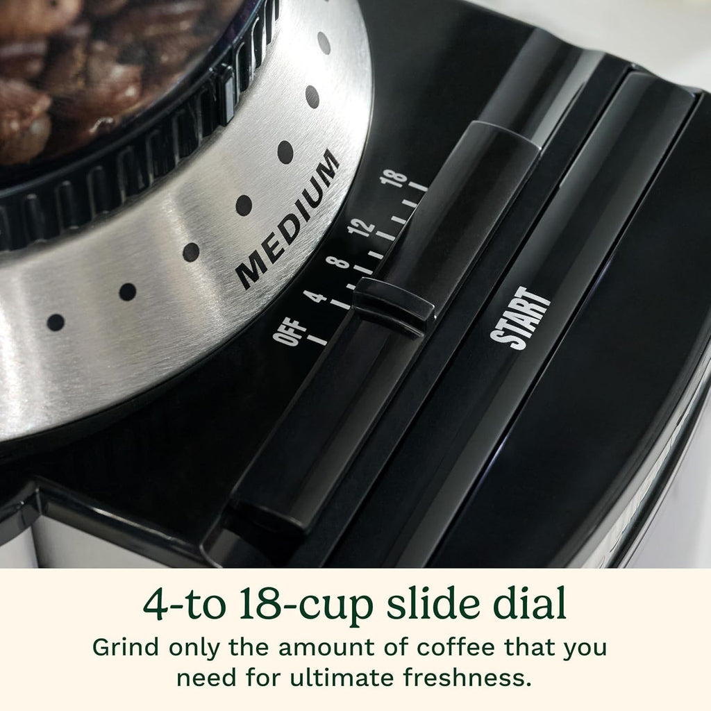 Electric Burr Coffee Grinder with 18-Position Grind Selector W2423