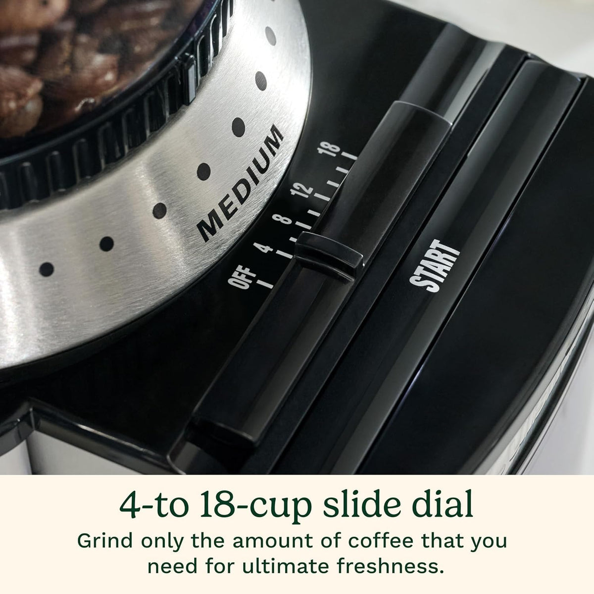 Electric Burr Coffee Grinder with 18-Position Grind Selector W2423