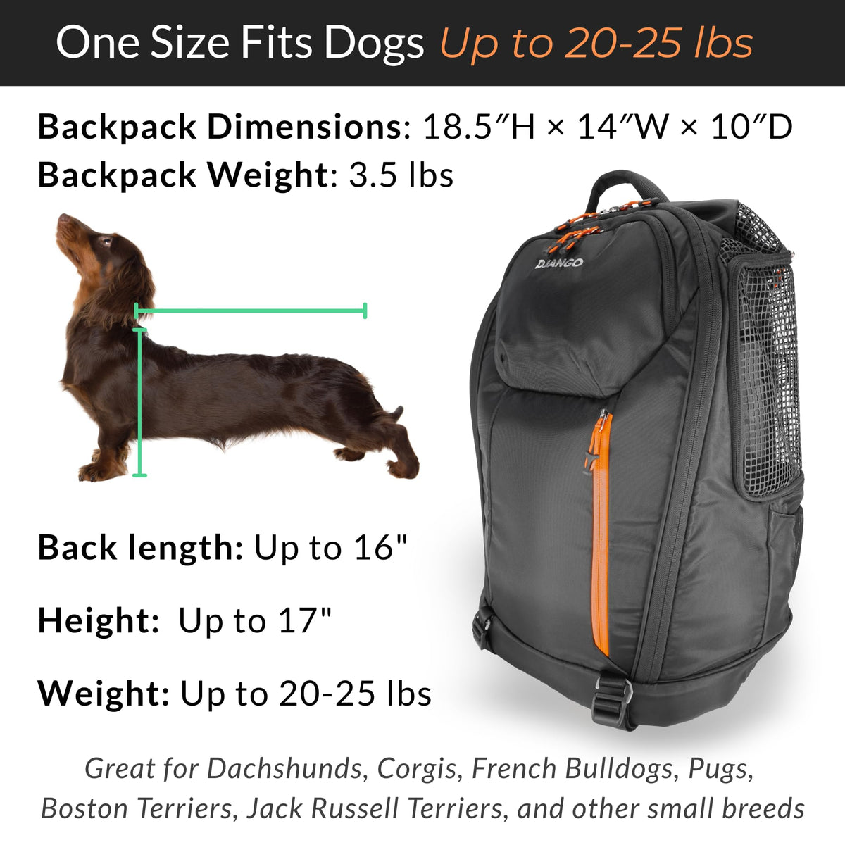 Dog Carrier Backpack L110798