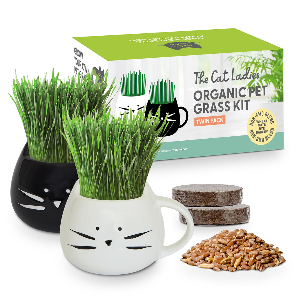 Cat Grass Growing Kit with Seed Mix, Soil and Two Planters Z37424