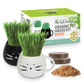 Cat Grass Growing Kit with Seed Mix, Soil and Two Planters Z37424