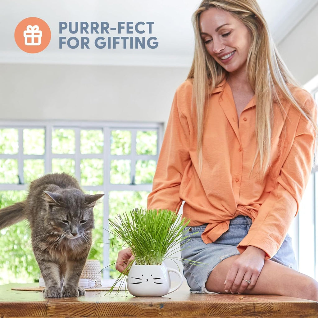 Cat Grass Growing Kit with Seed Mix, Soil and Two Planters Z37424