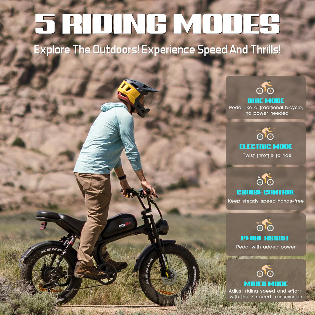 Peak 1500W 48V 20Ah 20'' Fat Tire 7-Speed Electric Bike P71041