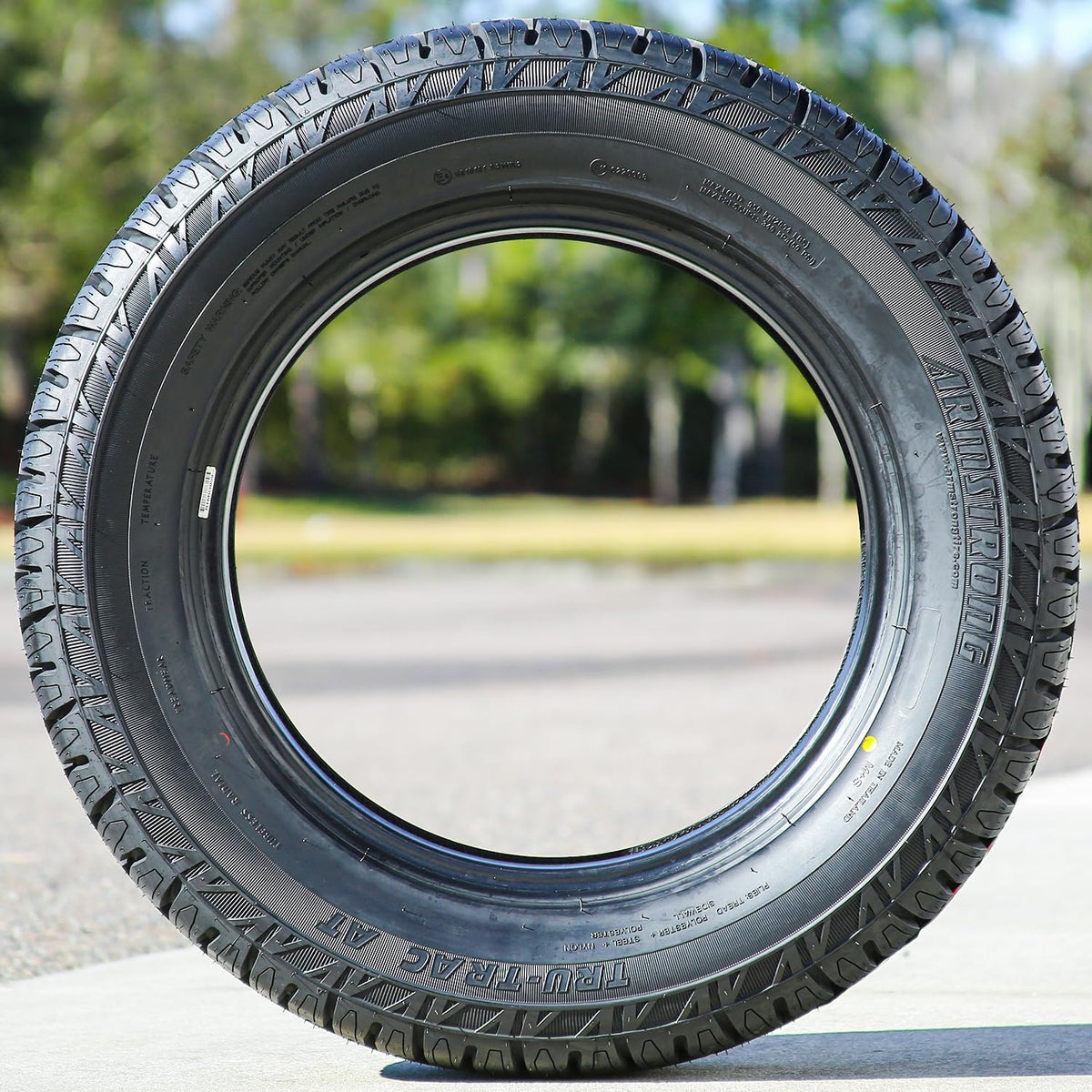 275/55R20 117T All Terrain Tire C366