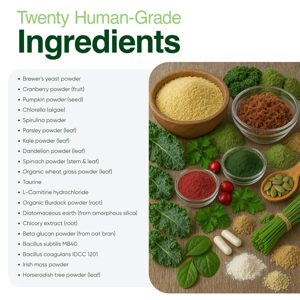 Greens Powder Supplement 3.5 oz G746