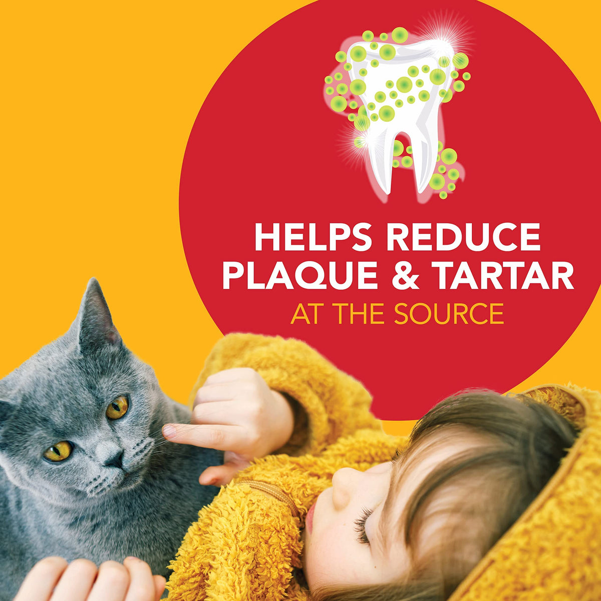 Cat Toothbrush and Toothpaste Kit Malt Flavor 2.5oz L6691