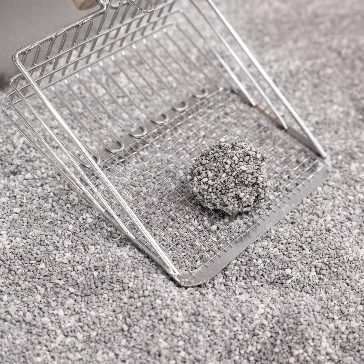 Unscented Clumping Bentonite Clay Cat Litter Set of 2 M31276